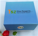 ��Ѫ��������1��ANG-1��ELISAԇ����