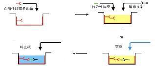 ø(li��n)���ߣ�Elisa�����g(sh��)���y����(w��)