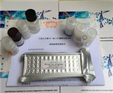 �˽ޠ���(j��ng)�I�B(y��ng)���ӣ�CNTF��ELISAԇ����