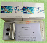 ���D�����L���Ӧ���TGF-����ELISAԇ����