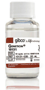 ��(bi��o)��(zh��n)̥ţѪ��