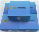 �������L���أ�GH��ELISAԇ����