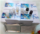  С�������򵰰�G��IgG��ø(li��n)����ԇ����