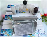 �u�׽���1��IL-1��ELISAԇ���� 