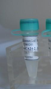  ATP�Y(ji��)�ϵ��׼���5���w