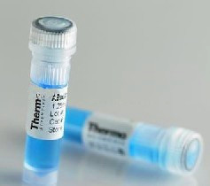  ���������սY(ji��)���D(zhu��n)�\(y��n)����G������ɆT2���w