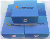 �d��׽���6��IL-6��ELISAԇ����