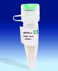 �X�c��/���c�Ŀ��w