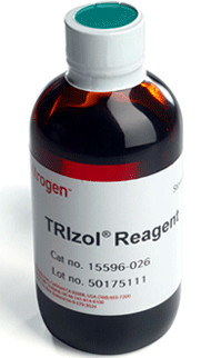 �g��������,�g̪��,�g���Ȼ���