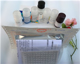 С���򵰰ף�Myosin��ELISAԇ����