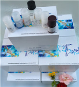 С��ȥ���I�����أ�NA��ELISAԇ����