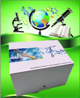 ��ȥ��Һ���ǵ������w��ASGPR��ELISAԇ����