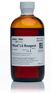 �A������ø