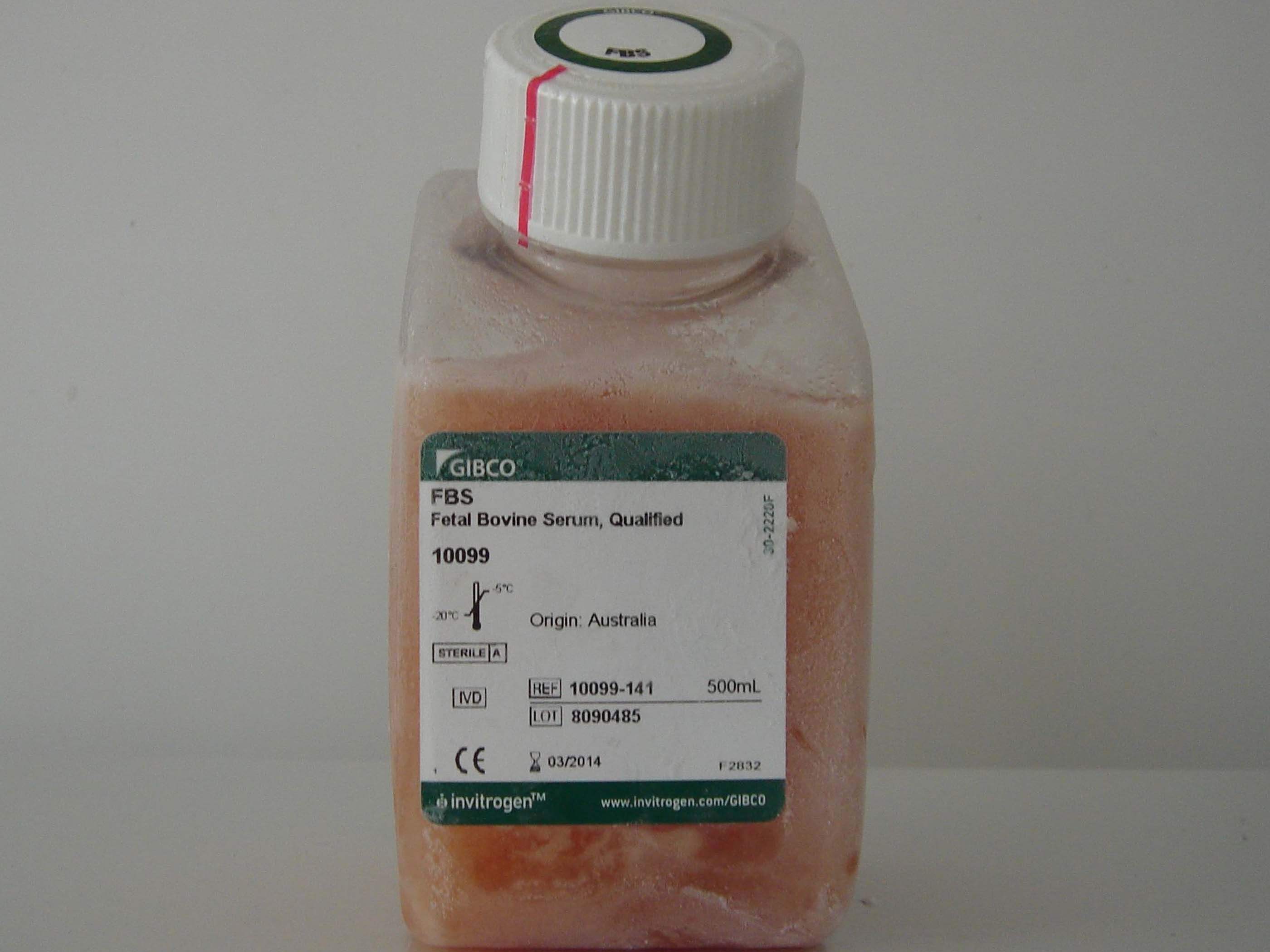 10099-141̥ţѪ��