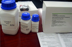 ����ͪ뿶��c�}��ˮ����