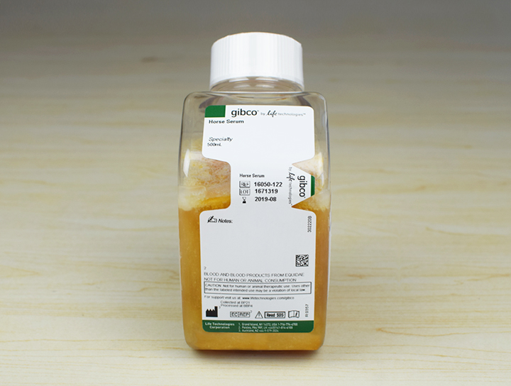 �ؼ��RѪ��