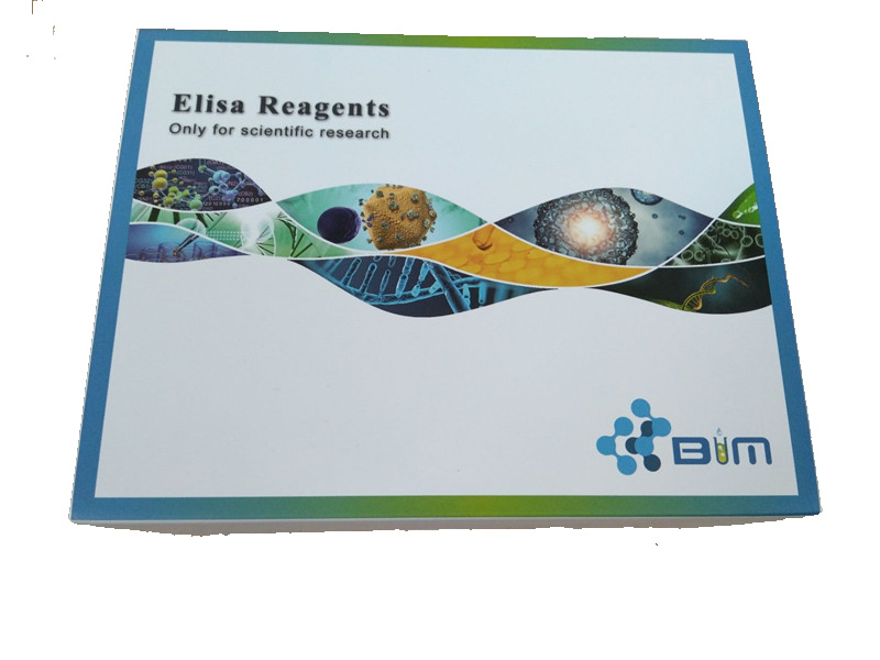BIMԇ����,ţ���������գ�ATP��ELISAԇ����