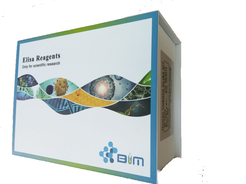 BIMԇ����,���[���������Ӧ���TNF-����ELISAԇ����