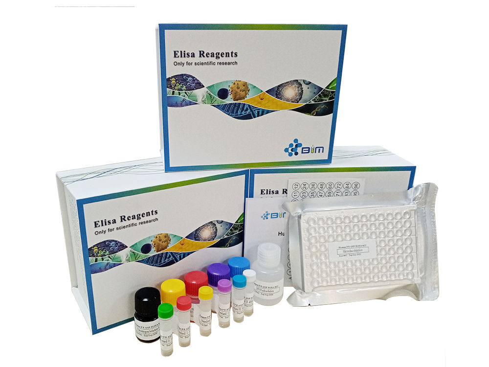 С���D(zhu��n)�����L(zh��ng)���Ӧ�1��TGF-��1��ø(li��n)����ԇ���Ѓr(ji��)��