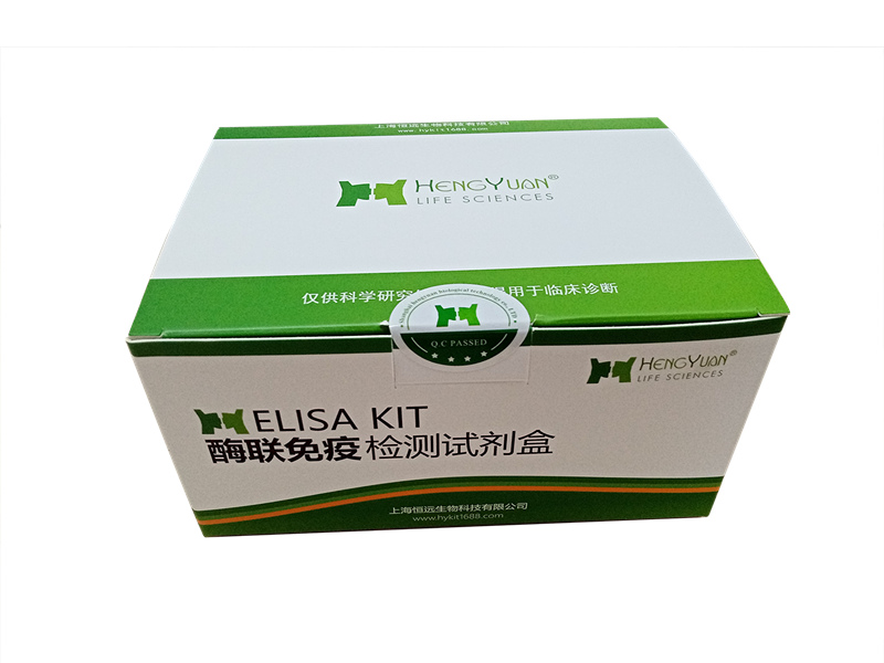 С��C�ģ�C-Peptide��ELISAԇ����