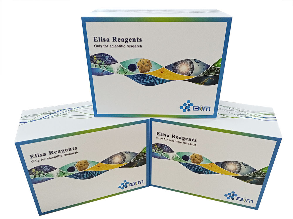 �˾��ɼ�(x��)�����Ե���2��MIP-2��ELISAԇ����