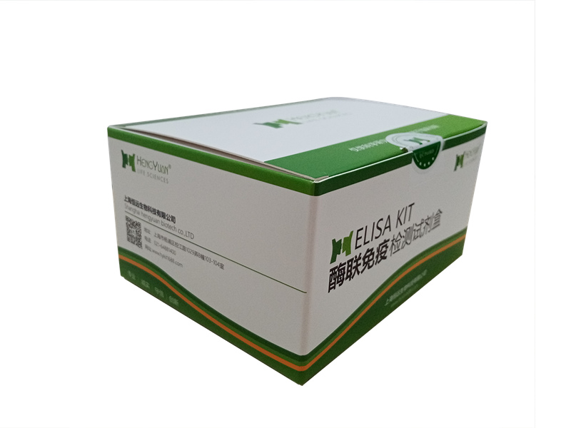 �u����ɫ��P450 2H1��CYP2H1��ELISAԇ����