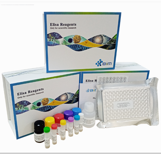 �u8�u��Ó���B�գ�8-OHdG��ø(li��n)����ԇ����