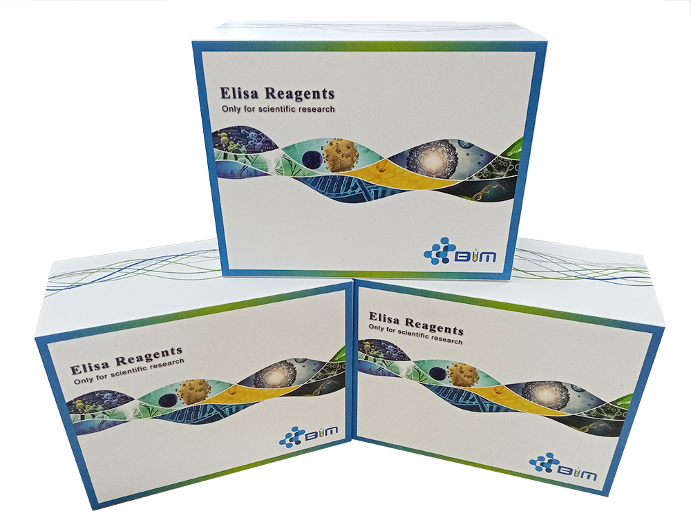 �������в������w��Flu A-Ab��ELISAԇ����