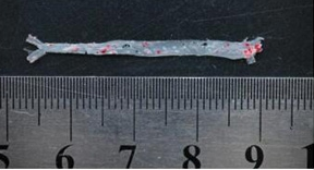 �ͼtO�����w��Ⱦɫ