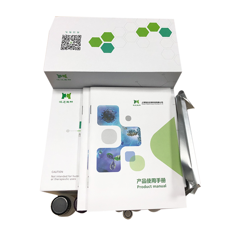 ���x����ȩ�� MDA �� 